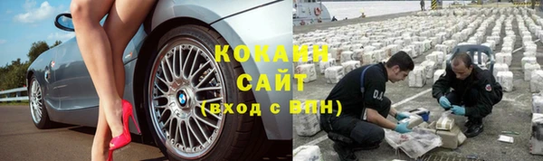 сатива Абаза