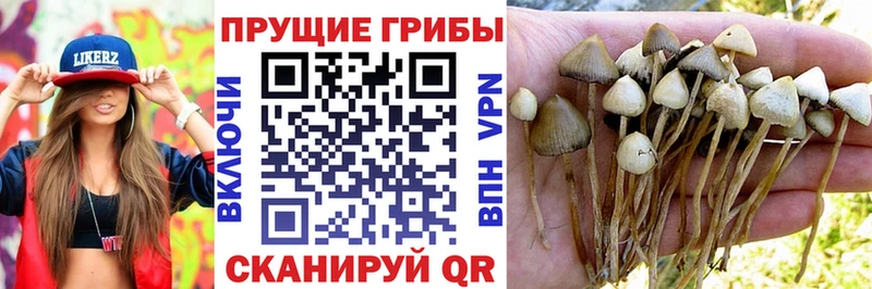 Псилоцибиновые грибы мухоморы  гидра   Яранск 